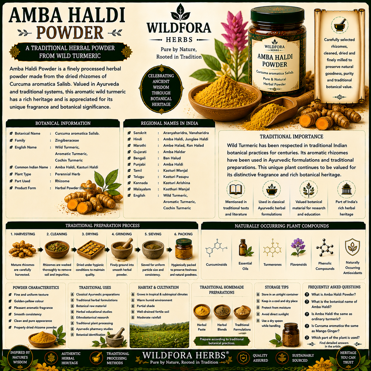 Amba Haldi Powder (Curcuma aromatica): Wild Turmeric Herbal Powder, Botanical Guide & Traditional Plant Heritage