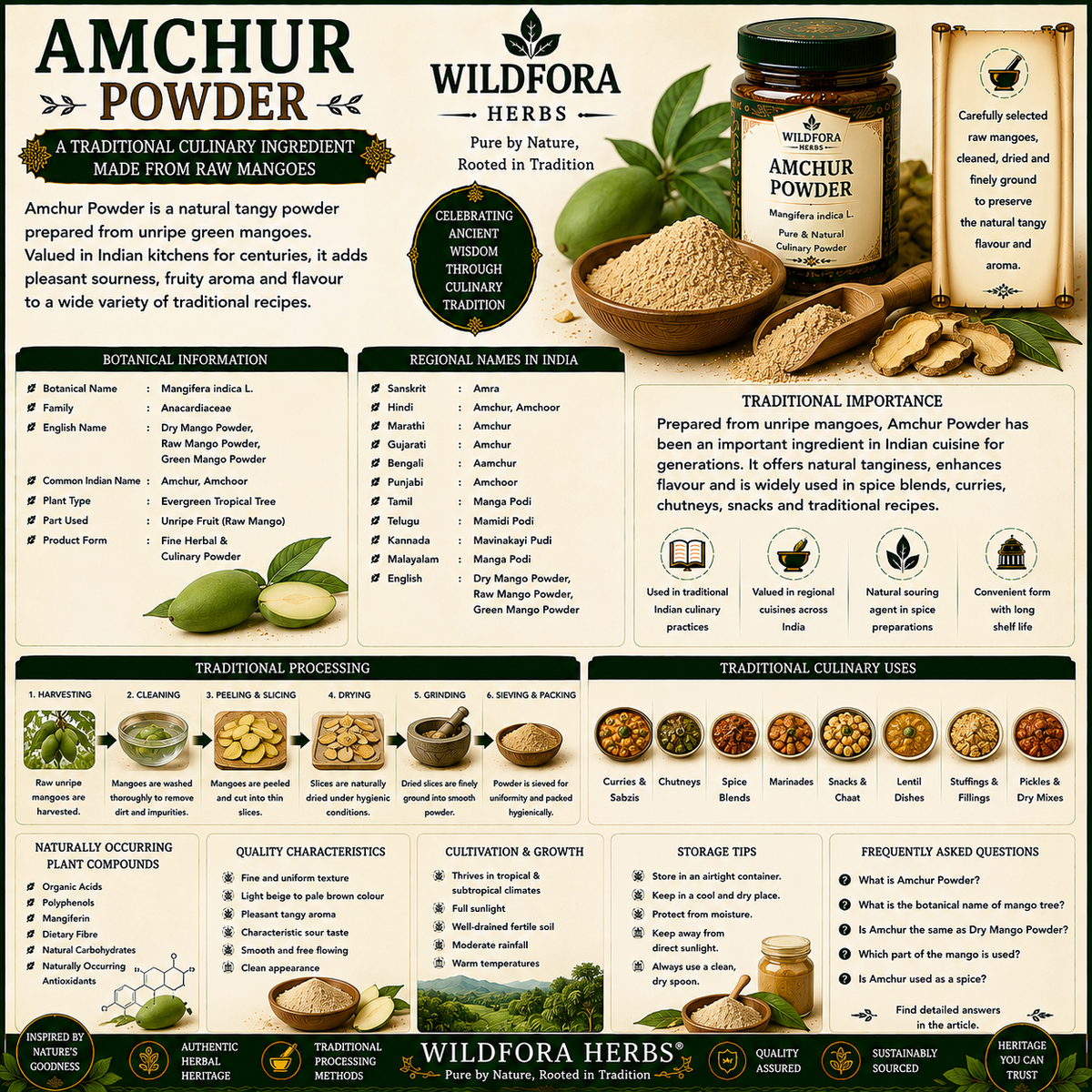 Amchur Powder (Dry Mango Powder): Natural Raw Mango Powder, Botanical Guide & Traditional Culinary Heritage