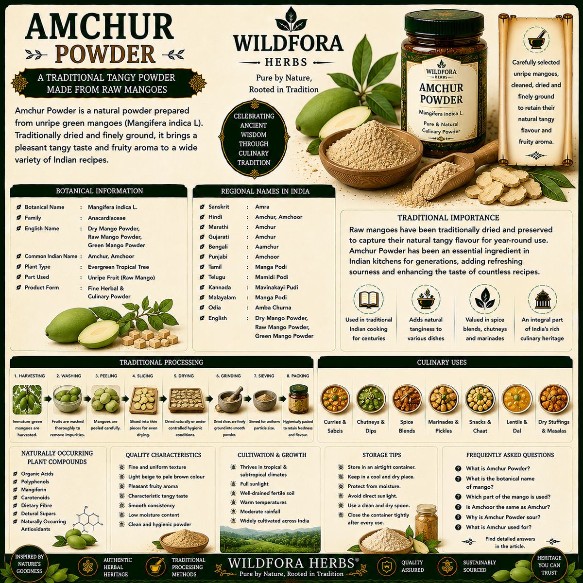Amchur Powder (Mangifera indica): Dry Mango Powder, Natural Raw Mango Powder & Traditional Culinary Heritage