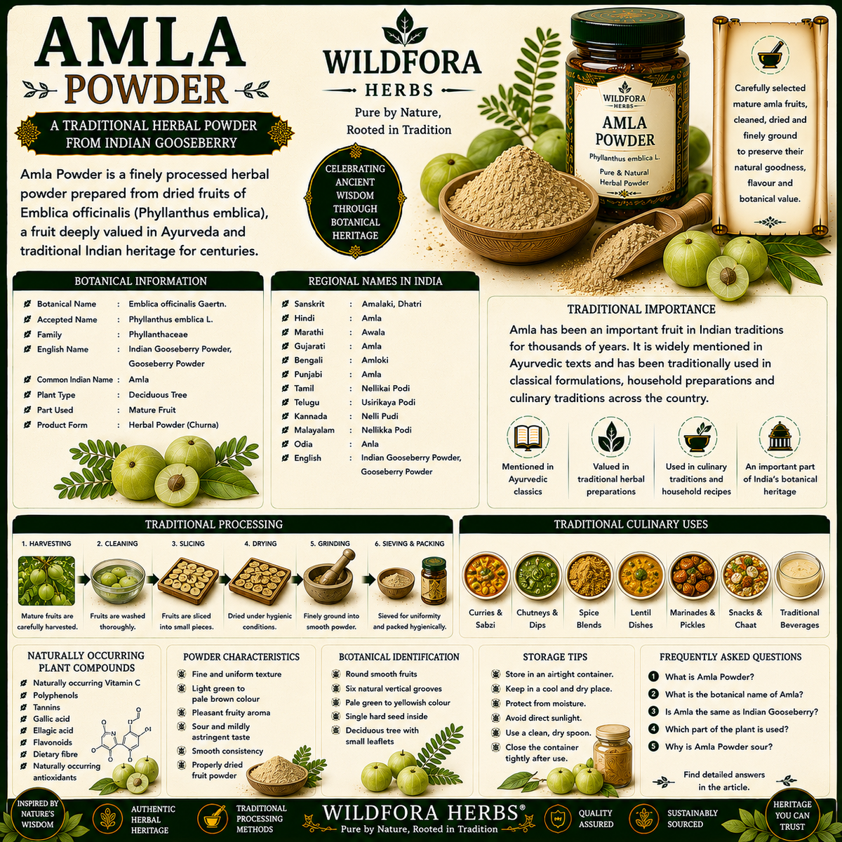 Amla Powder (Emblica officinalis / Phyllanthus emblica): Gooseberry Herbal Powder, Botanical Guide & Traditional Plant Heritage