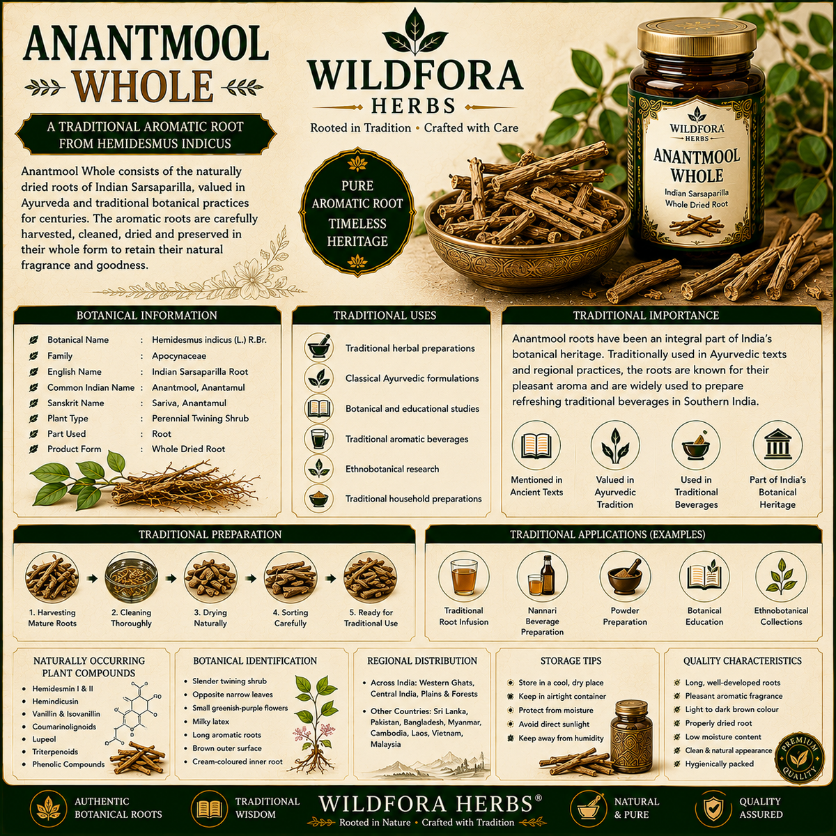 Anantmool Whole (Hemidesmus indicus): Indian Sarsaparilla Root, Botanical Guide & Traditional Plant Heritage