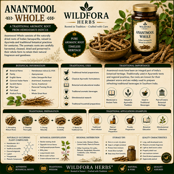 Anantmool Whole (Hemidesmus indicus): Indian Sarsaparilla Root, Botanical Guide & Traditional Plant Heritage