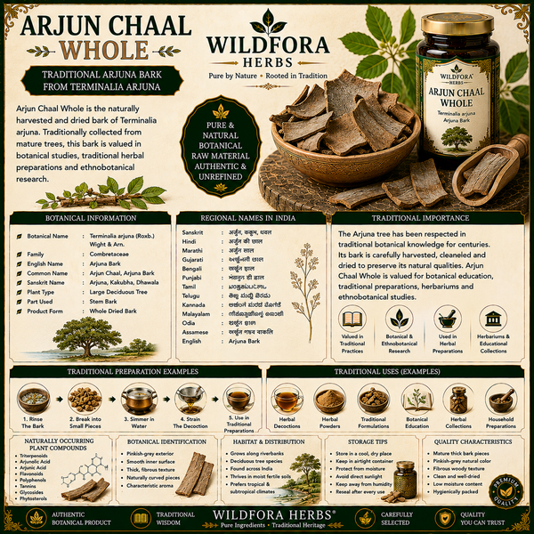 Arjun Chaal Whole: Traditional Arjuna Bark from Terminalia arjuna