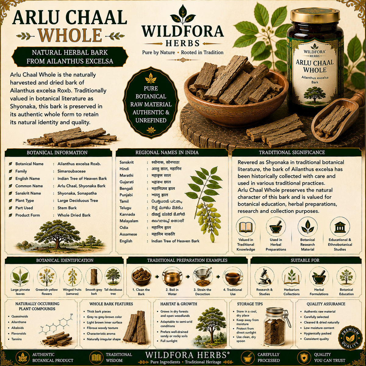 Arlu Chaal Whole (Ailanthus excelsa) – Premium Shyonaka Herbal Bark Guide