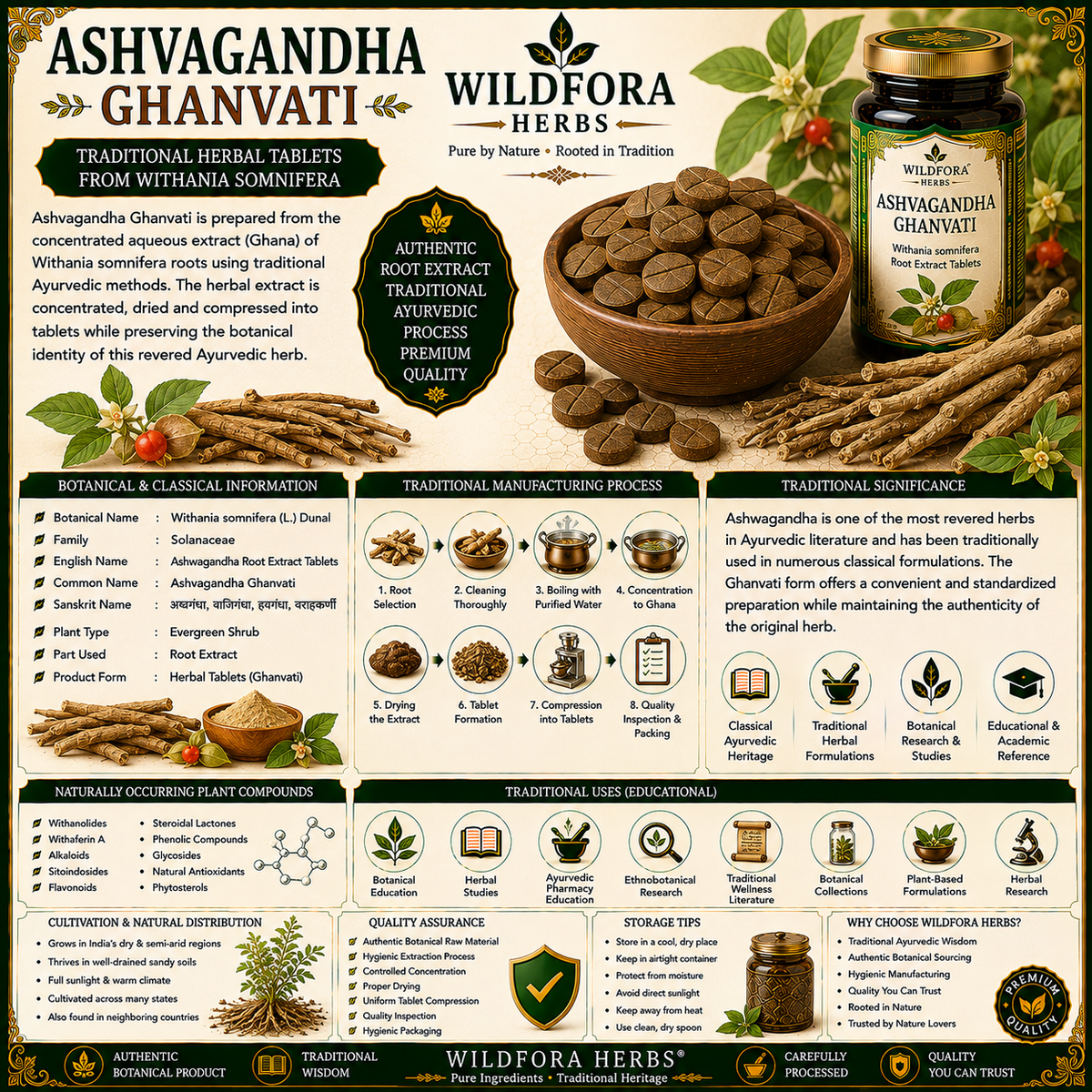 Ashvagandha Ghanvati (Withania somnifera) – Premium Ashwagandha Root Extract Tablets Guide