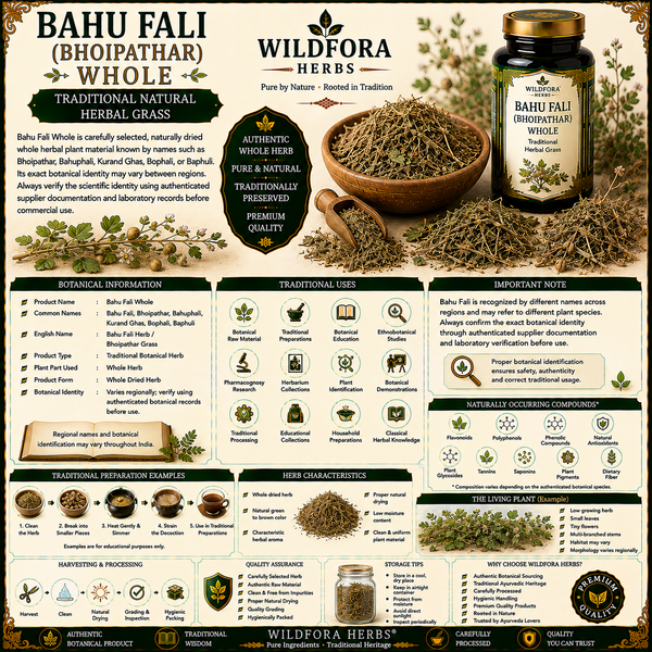 Bahu Fali (Bhoipathar) Whole – Premium Natural Herbal Grass Guide