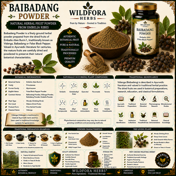 Baibadang Powder (Embelia ribes) – Premium Vidanga Herbal Powder Guide