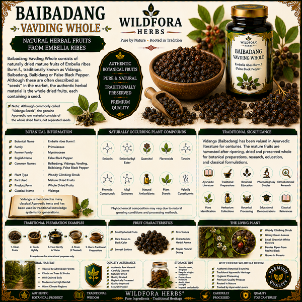 Baibadang Vavding Whole (Embelia ribes) – Premium Vidanga False Black Pepper Herbal Fruits Guide