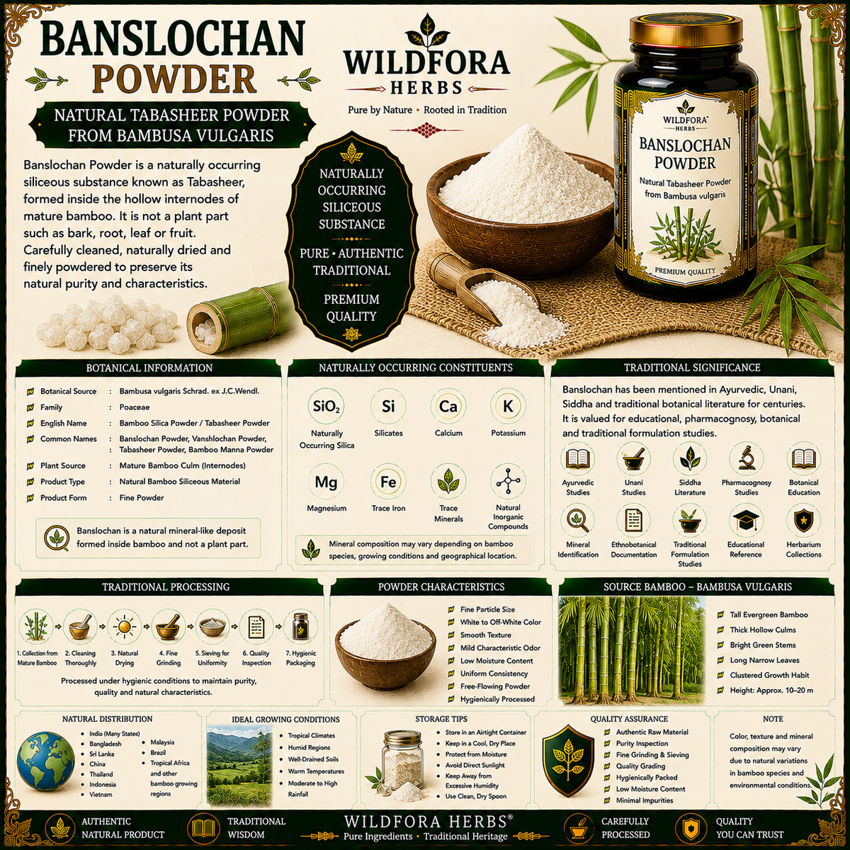 Banslochan Powder (Tabasheer) – Premium Bambusa vulgaris Bamboo Silica Powder Guide