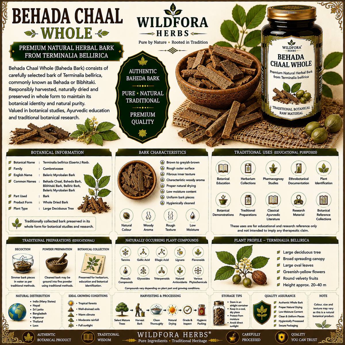 Behada Chaal Whole (Terminalia bellirica) – Premium Herbal Bark Guide