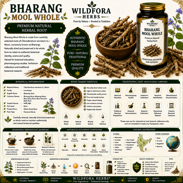 Bharang Mool (Clerodendrum serratum) Whole – Premium Herbal Root Guide
