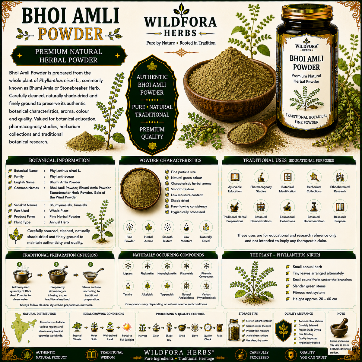 Bhoi Amli Powder (Phyllanthus niruri) | Premium Bhumi Amla Herbal Powder