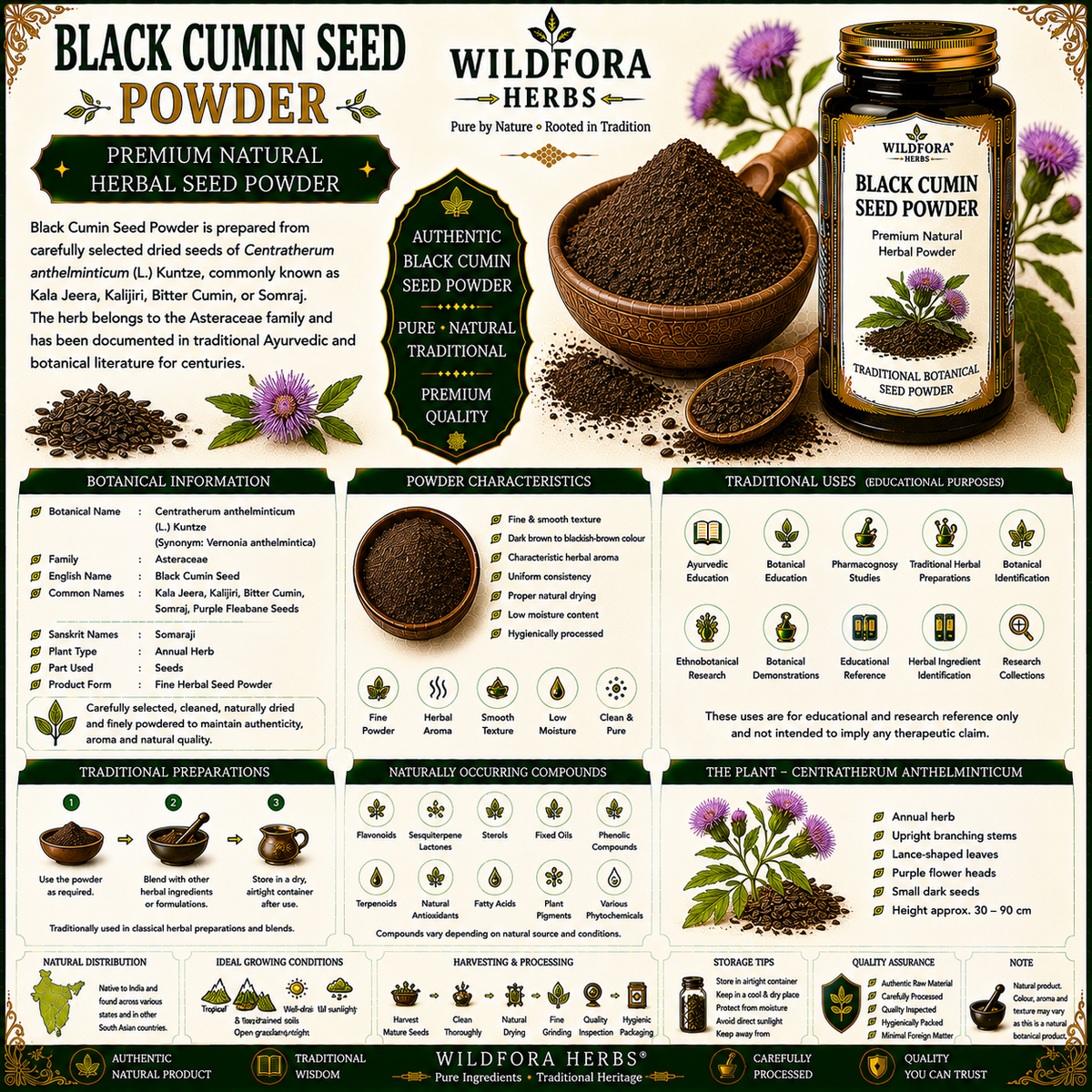 Black Cumin Seed Powder (Centratherum anthelminticum) | Premium Kala Jeera Herbal Powder