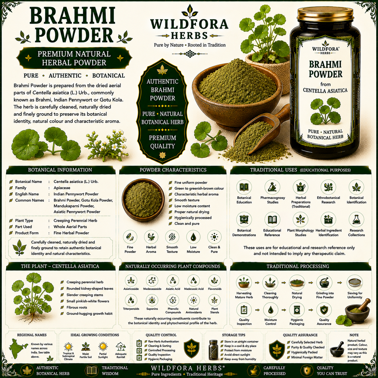 Brahmi Powder (Centella asiatica) | Premium Indian Pennywort Herbal Powder