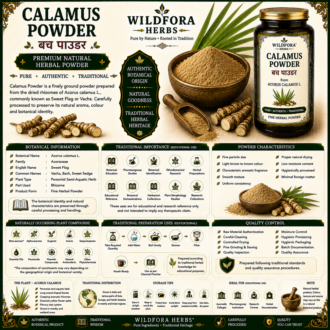 Calamus Powder (Acorus calamus) | Premium Sweet Flag Herbal Powder