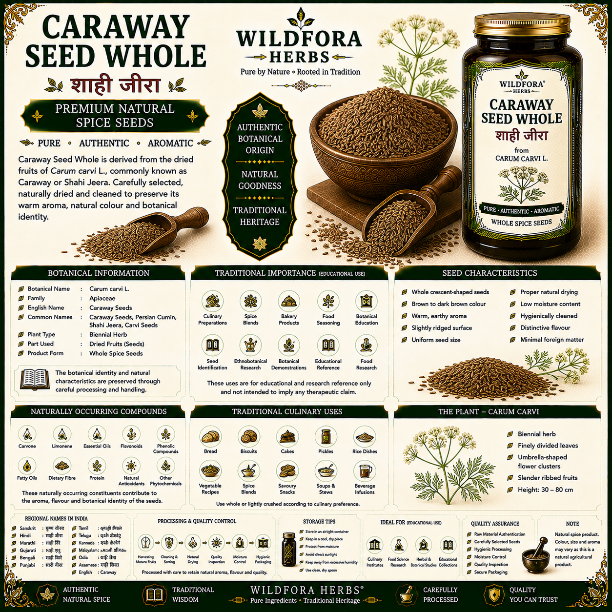 Caraway Seed Whole (Carum carvi) – Premium Natural Spice Seeds Guide