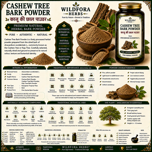 Cashew Tree Bark Powder (Anacardium occidentale) | Premium Herbal Bark Powder
