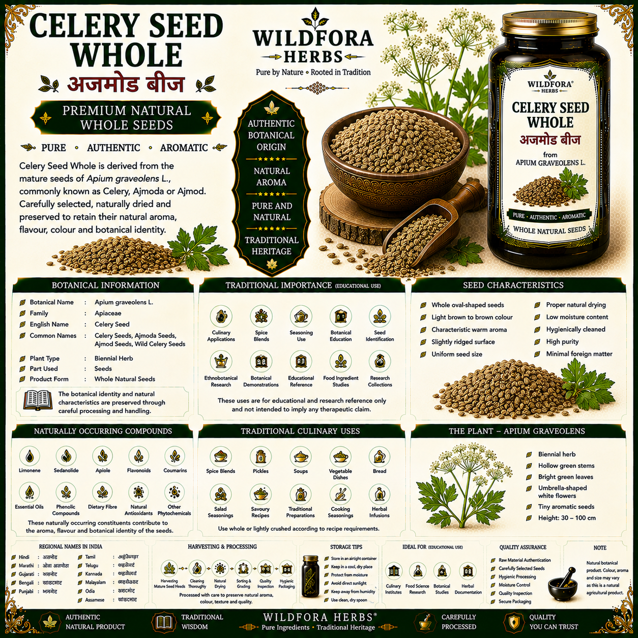 Celery Seed Whole (Apium graveolens) | Premium Natural Ajmoda Seeds