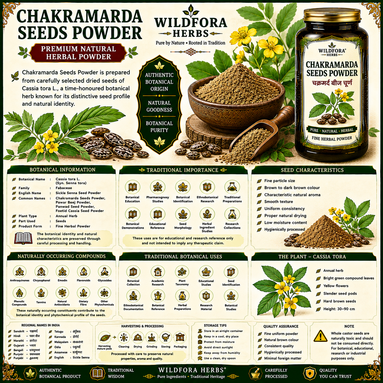 Chakramarda Seeds Powder (Cassia tora) | Premium Pawar Beej Herbal Powder