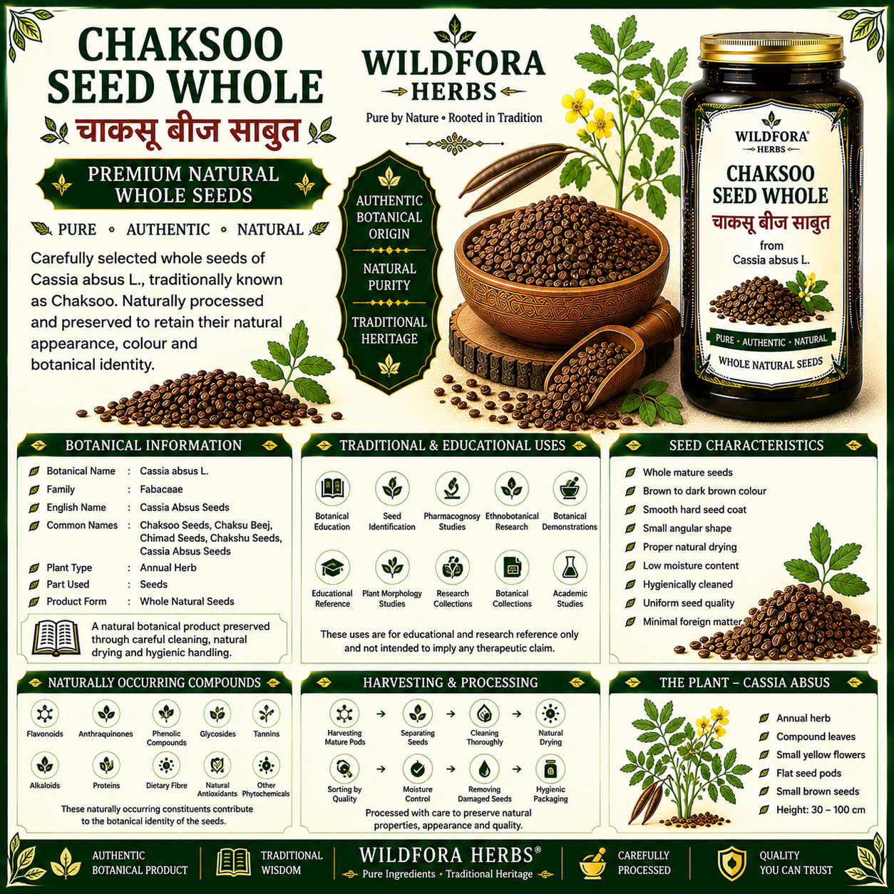 Chaksoo Seed Whole (Cassia absus) | Premium Chaksu Chimad Natural Seeds