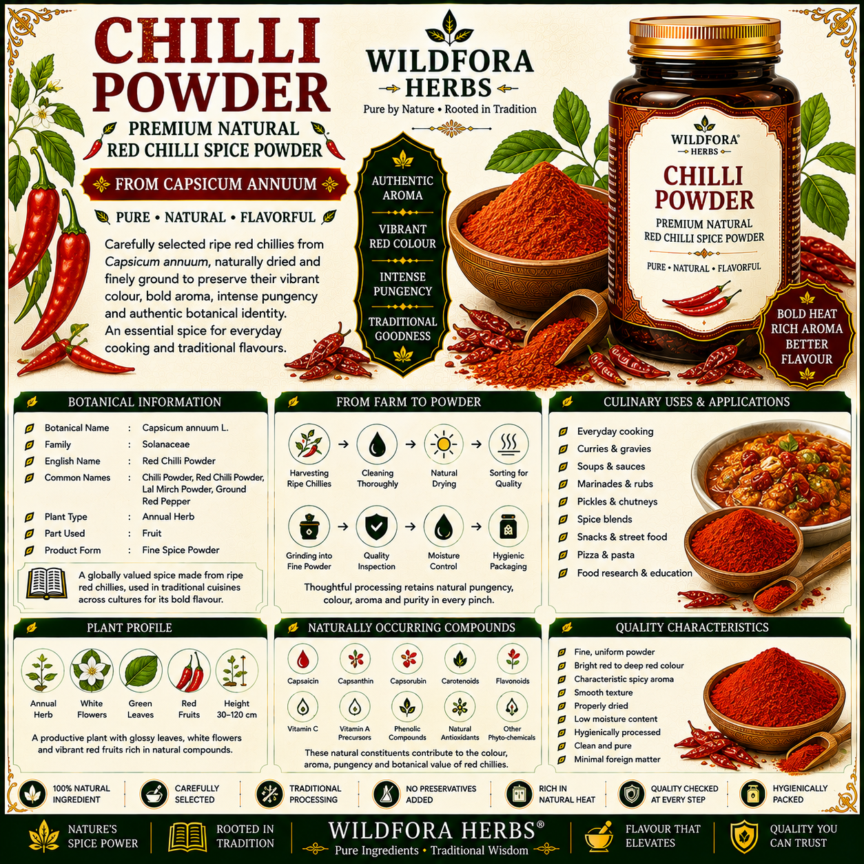 Chilli Powder (Capsicum annuum) | Premium Red Chilli Spice Powder