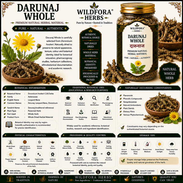 Darunaj Whole (Doronicum hookeri) | Premium Natural Leopard Bane Herbal Root