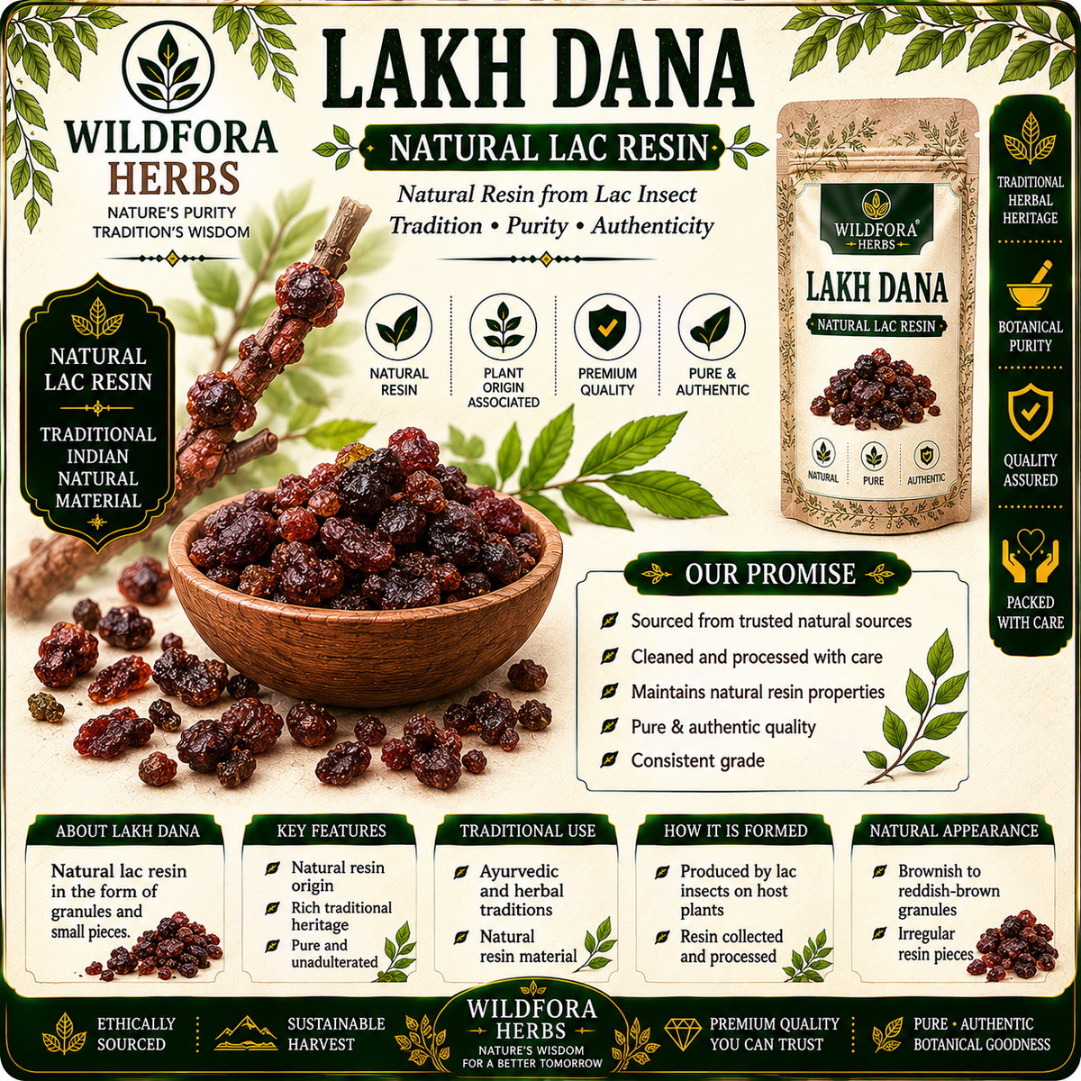Lakh Dana Laccifer lacca | Whole Natural Lac Resin Granules | Traditional Lac Product