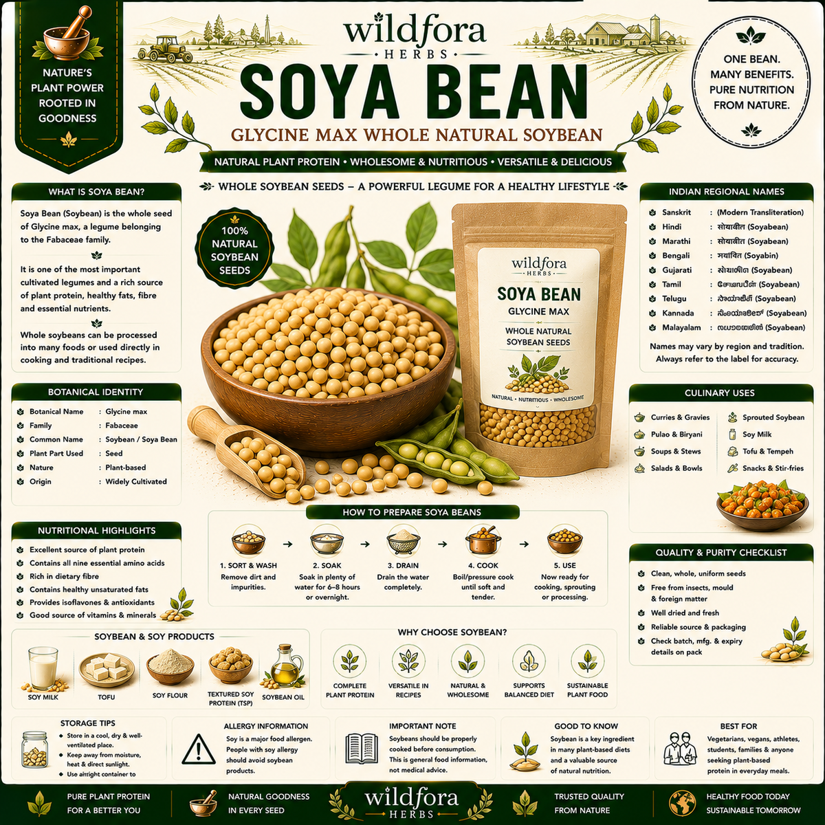 Soya Bean Glycine Max Whole