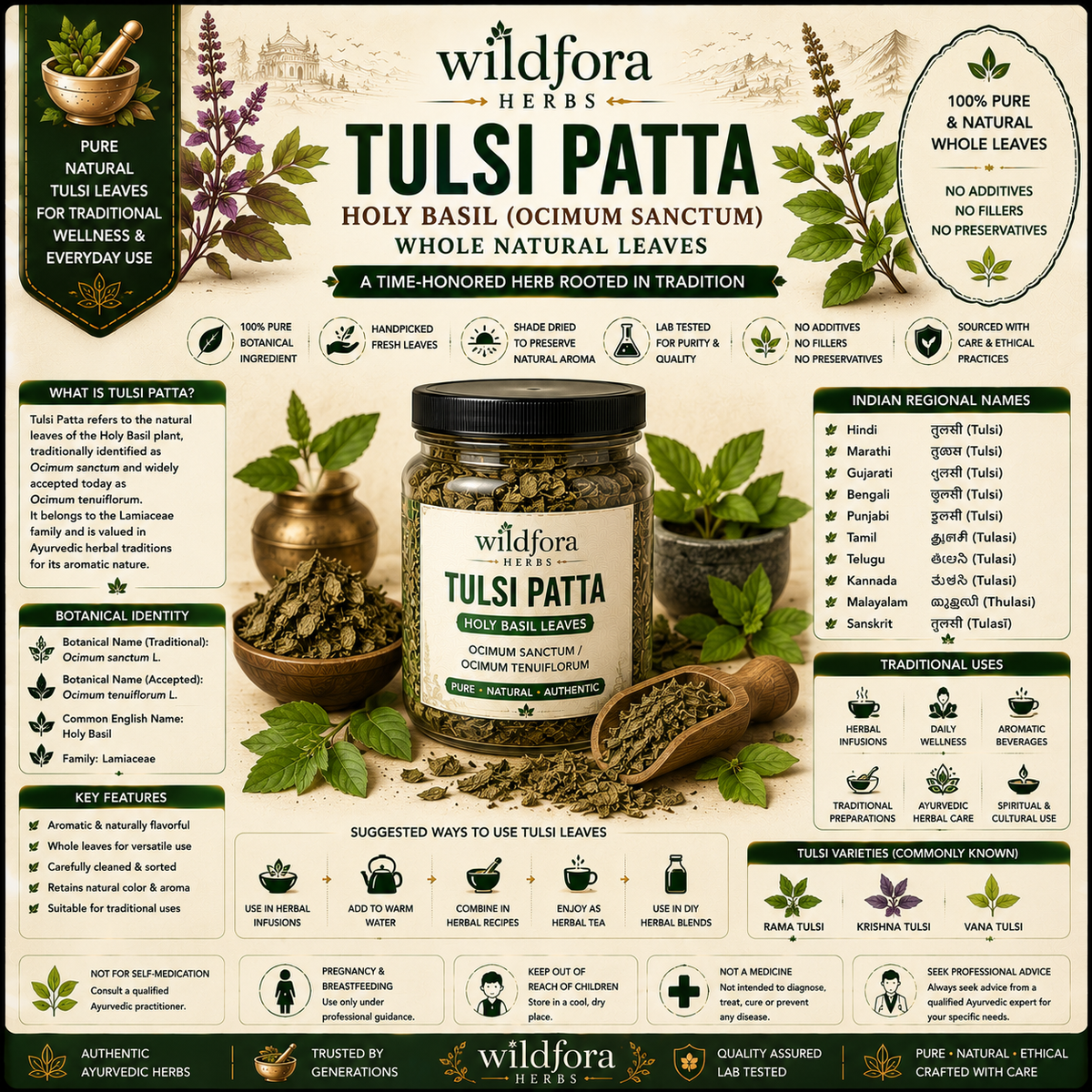 Tulsi Patta Holy Basil Ocimum Sanctum Whole