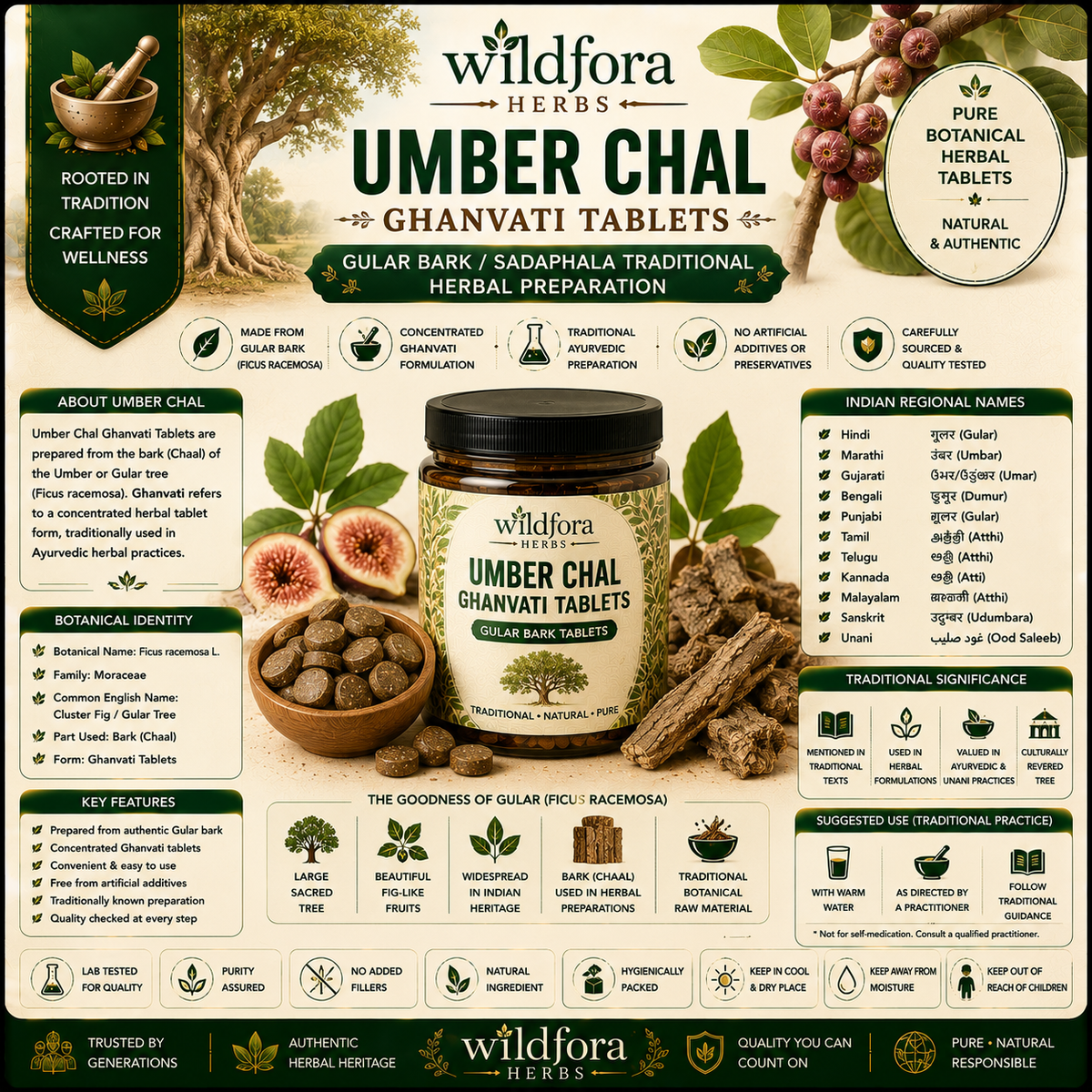 Umber Chal Ghanvati Tablets (Gular Bark – Sadaphala) – Herbal Tablet Inspired by the Wild Forest