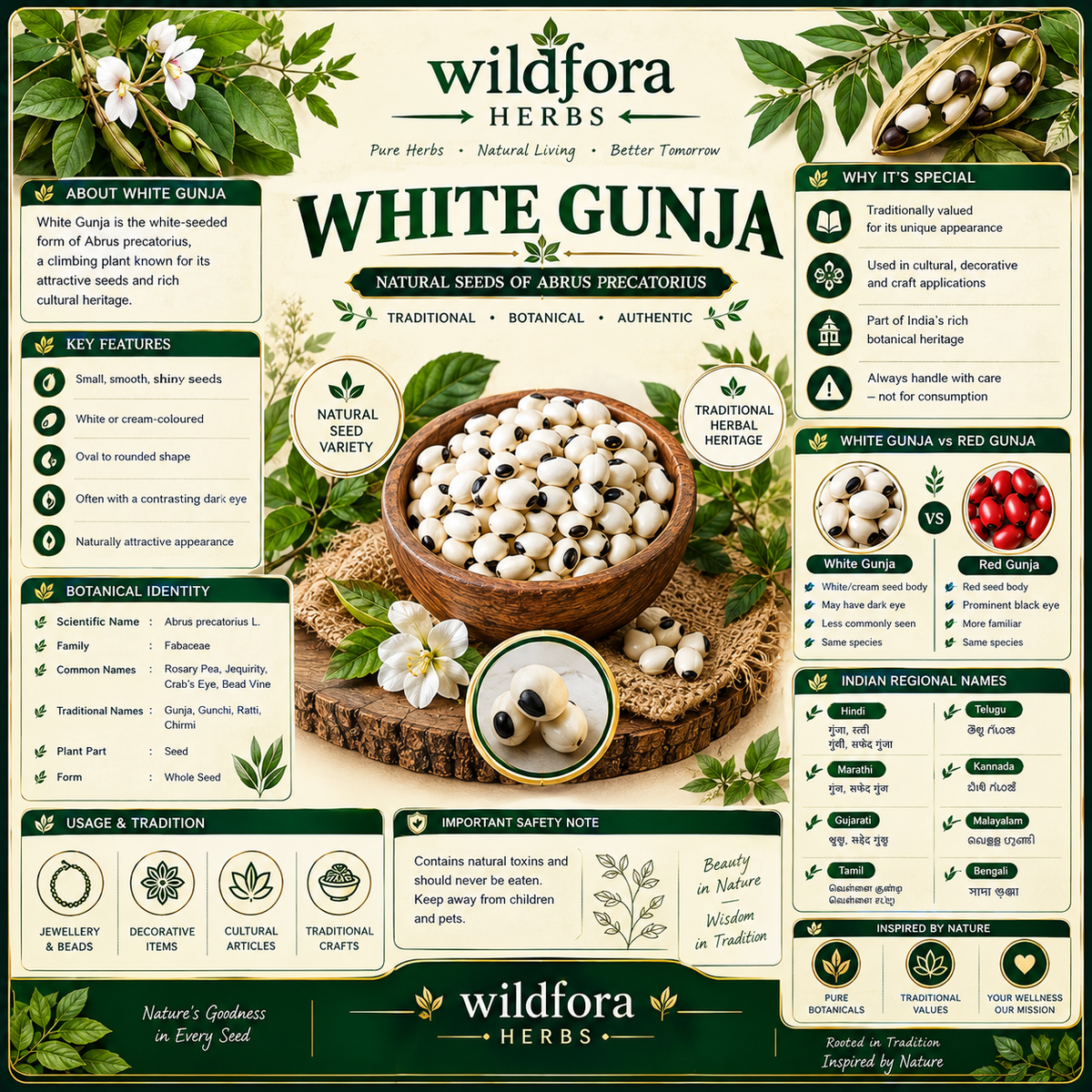 White Gunja Abrus Precatorius Whole Natural Safed Chirmi Beads