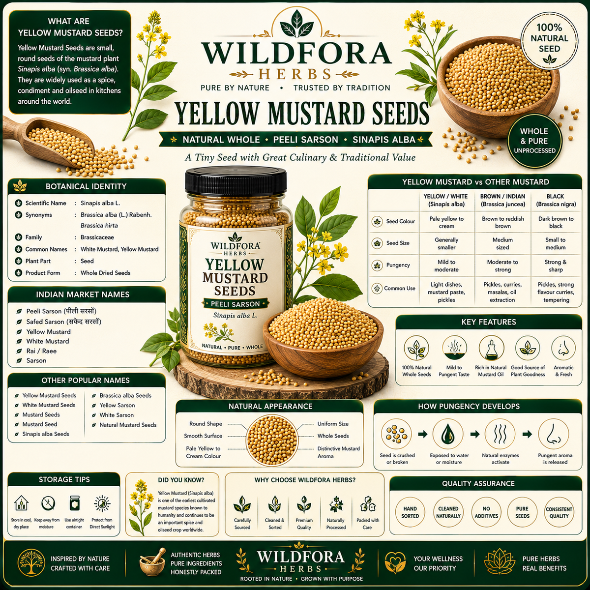 Yellow Mustard Seeds Brassica Alba Whole Natural Sarson Seeds