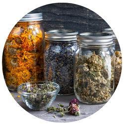 Wildfora Herbs Raw Herbs Collection – Whole Natural Botanical Herbs
