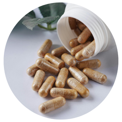 Wildfora Herbs Herbal Tablets Collection – Botanical Herbal Tablets