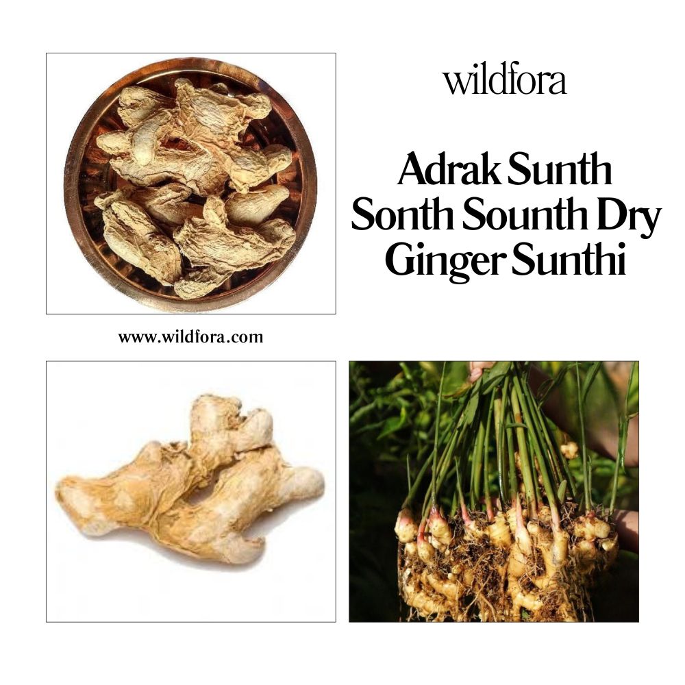 Adrak Sonth Dry Ginger Whole Herbal Product