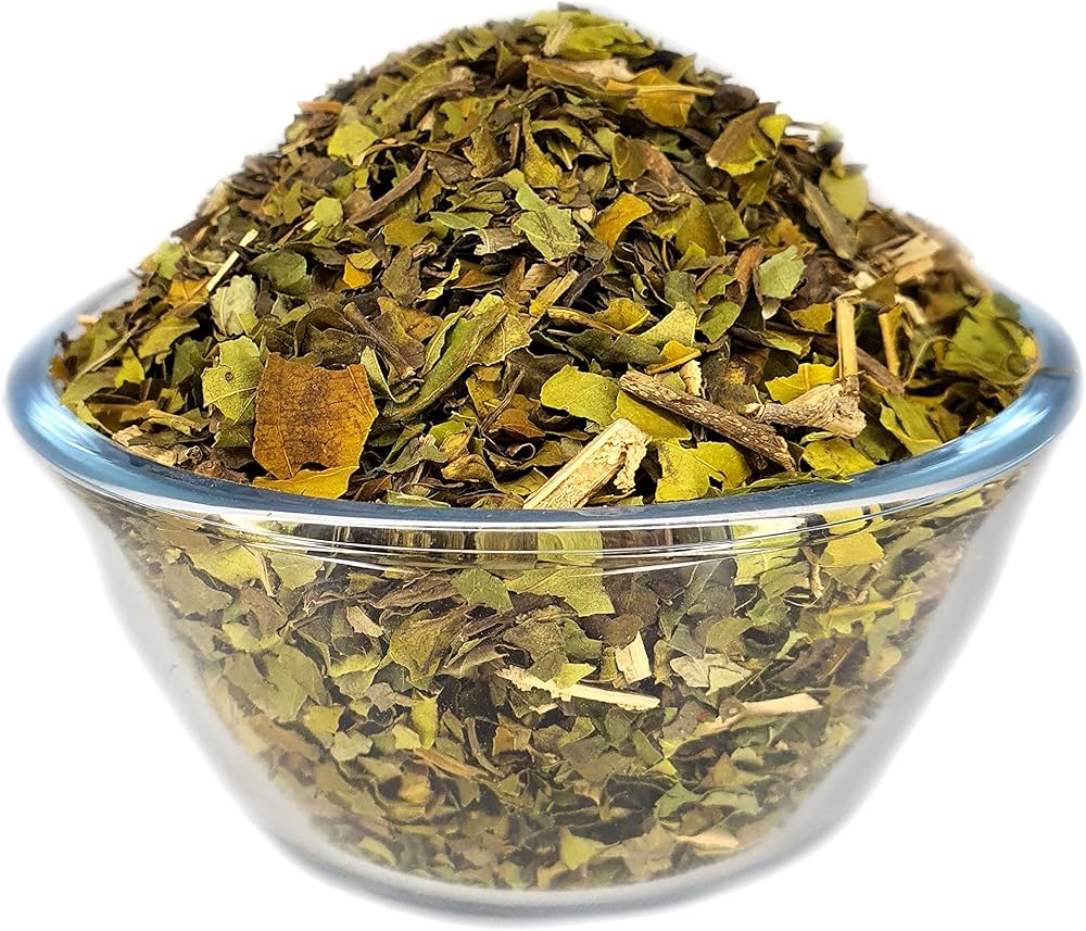 Adulsa Bansa Green | Malabar Nut Whole Adhatoda Vasaka Herbal Product