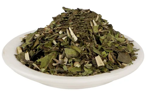 Adulsa Bansa Green | Malabar Nut Whole Adhatoda Vasaka Herbal Product