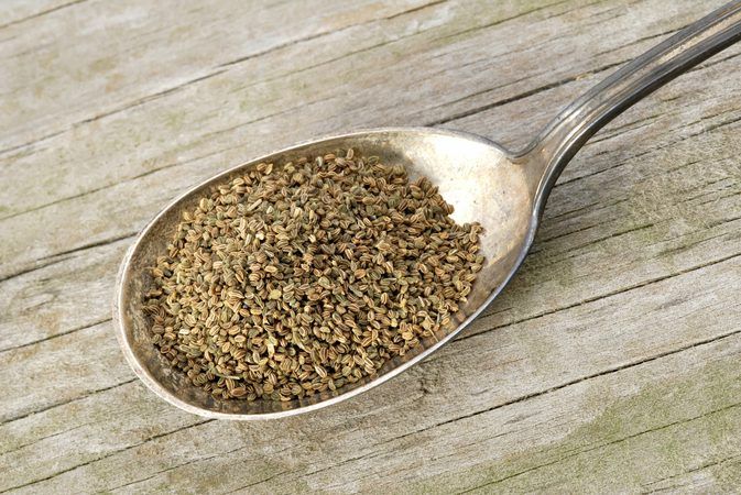 Ajmoda Powder Celery Seed Powder | Apium graveolens Herbal Powder
