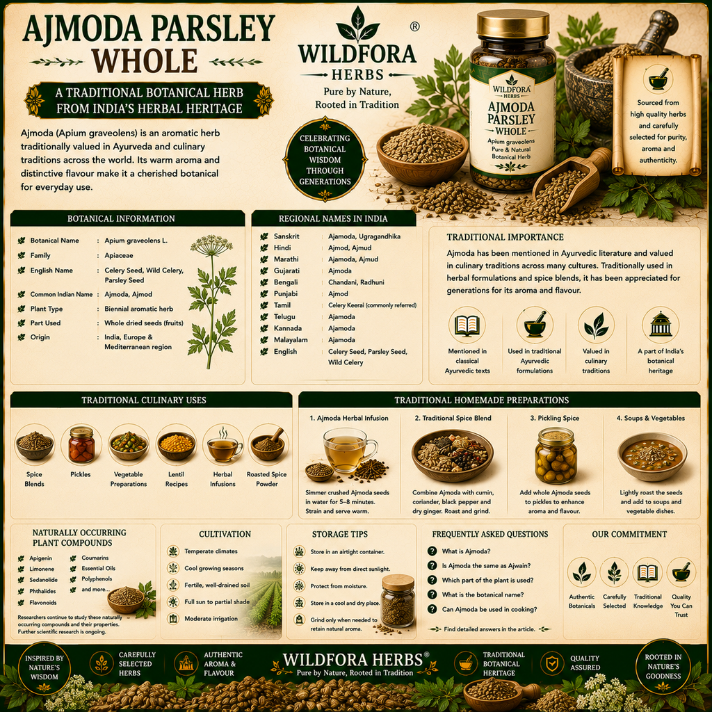 Ajmoda Parsley Whole (Apium graveolens): Traditional Herbal Product, Botanical Guide & Culinary Heritage