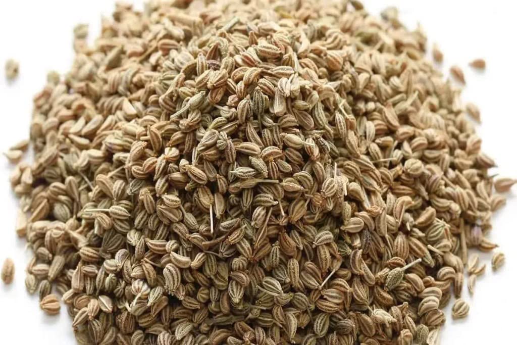 Ajwain Powder Trachyspermum Ammi | Natural Carom Seed Powder