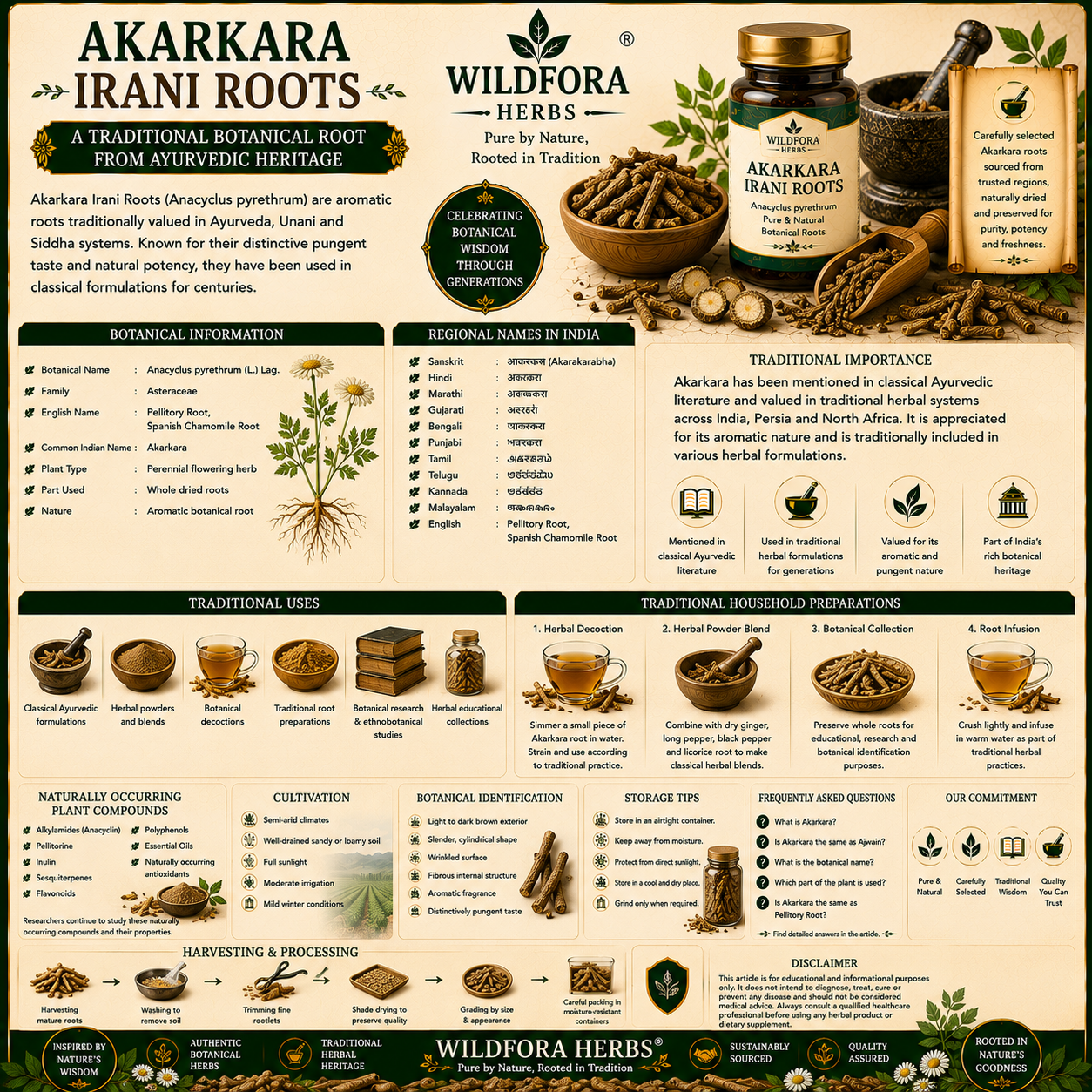 Akarkara Irani Roots Anacyclus Pyrethrum Pellitory Whole