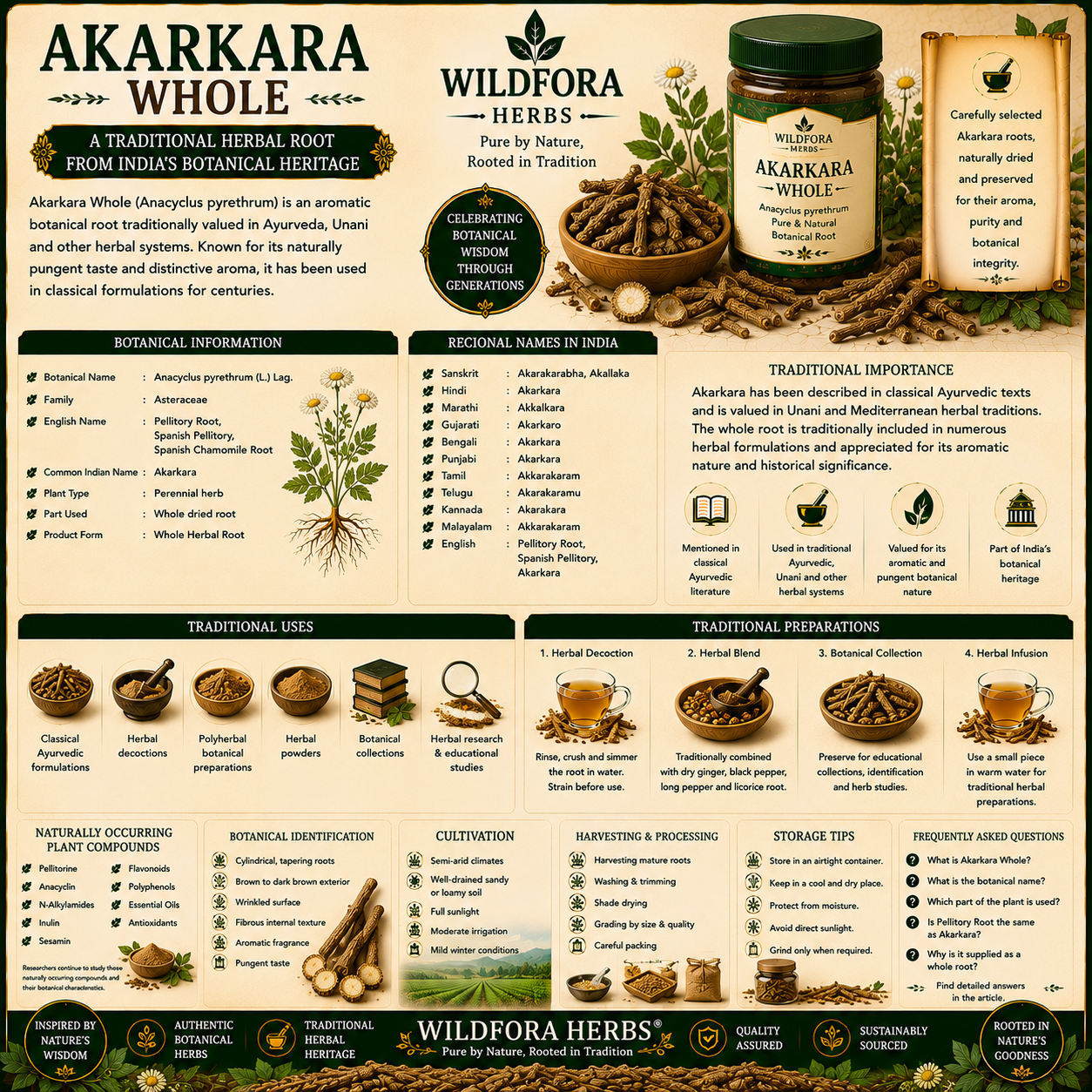 Akarkara Whole Pellitory Anacyclus Pyrethrum Herbal Root