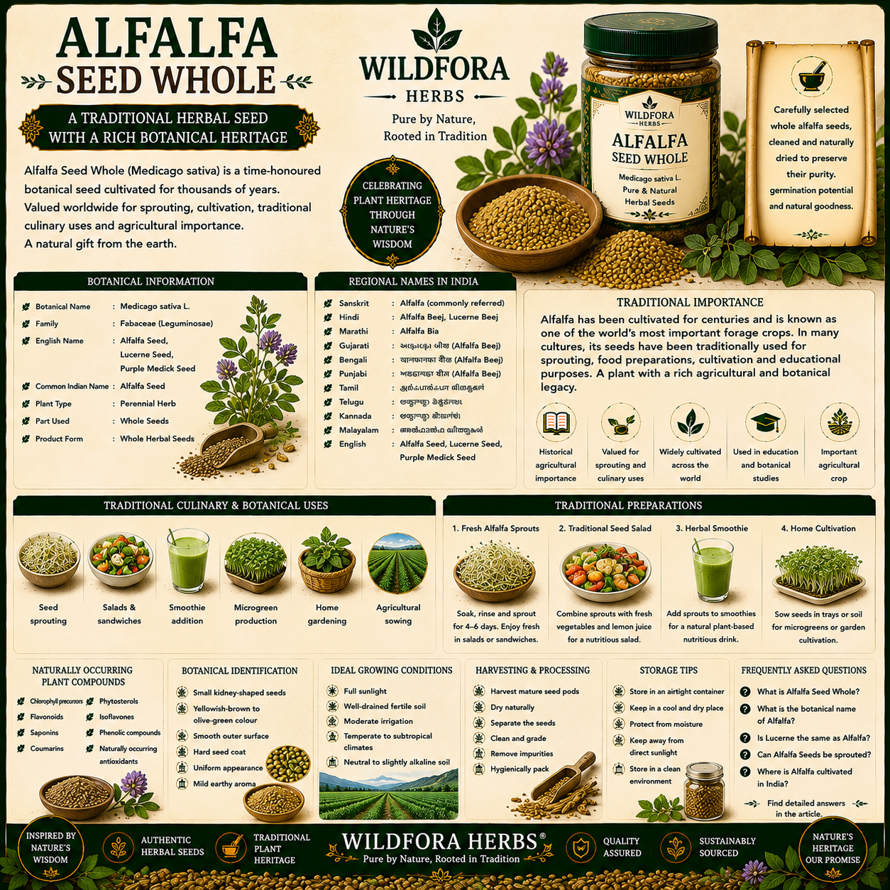 Alfalfa Seed Whole Medicago Sativa Natural Herbal Seeds