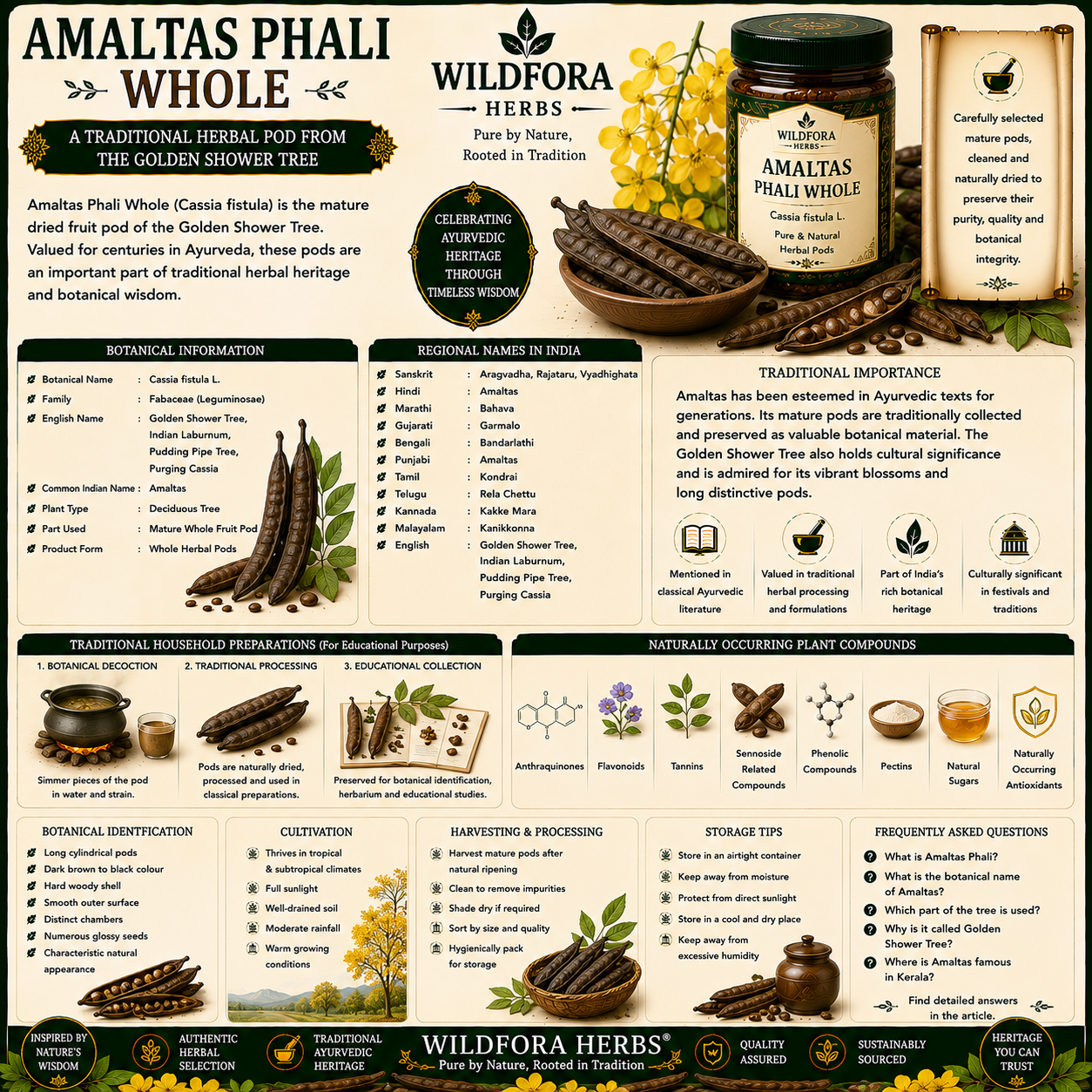 Amaltas Phali Golden Shower Tree Whole Cassia Fistula Herbal