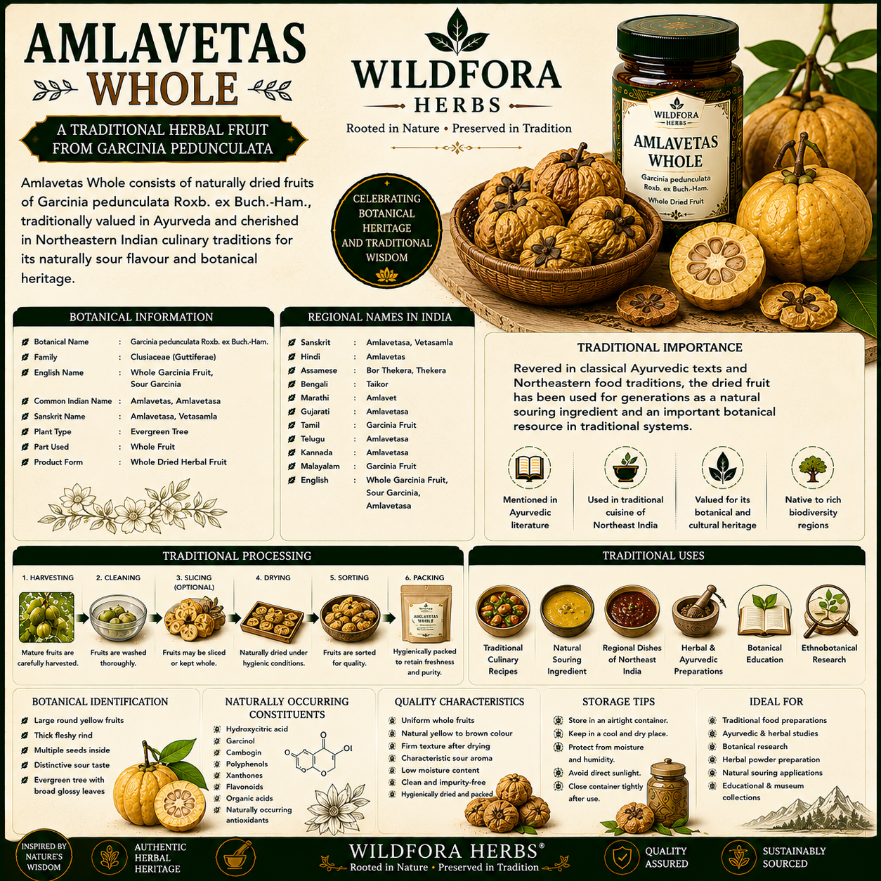 Amlavetas Whole Garcinia Pedunculata Natural Herbal Fruit