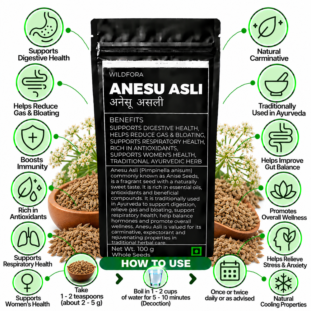 Anesu Asli Fennel Fruit Whole Foeniculum Vulgare Seeds Benefits