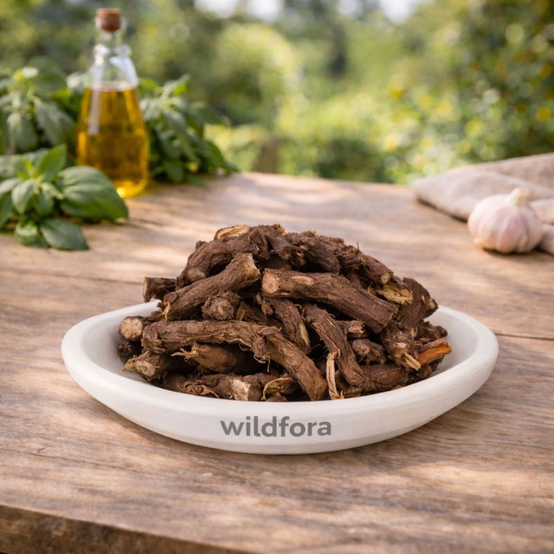 Anjbar Whole Alpine Bistort Polygonum Viviparum Herbal Root