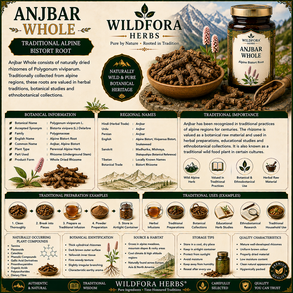 Anjbar Whole Alpine Bistort Polygonum Viviparum Herbal Root
