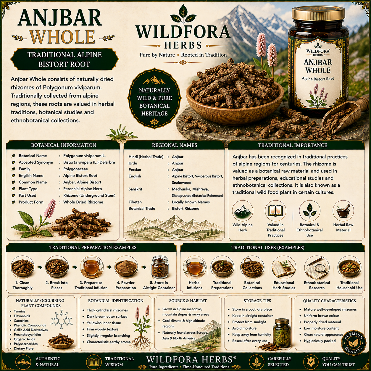 Anjbar Whole Alpine Bistort Polygonum Viviparum Herbal Root