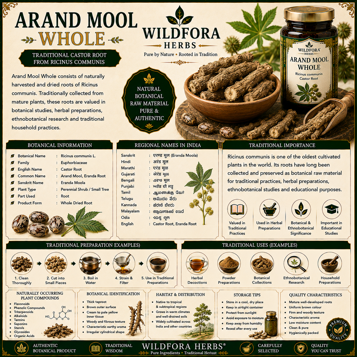 Arand Mool Whole Ricinus Communis Castor Root Herbal